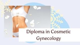 World Laparoscopy Hospital starting course in cosmetic Gynecology