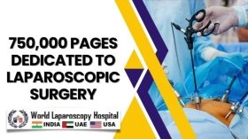 World Laparoscopy Hospital's 750,000 Pages Dedicated to Laparoscopic Surgery