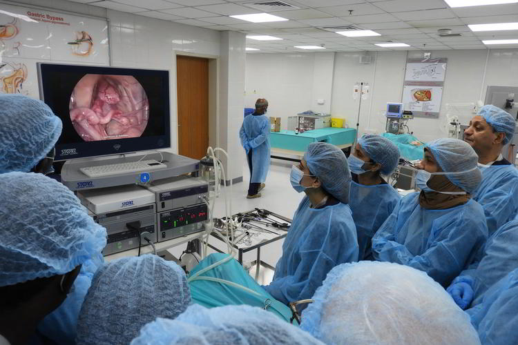 World Laparoscopy Training Institute, USA