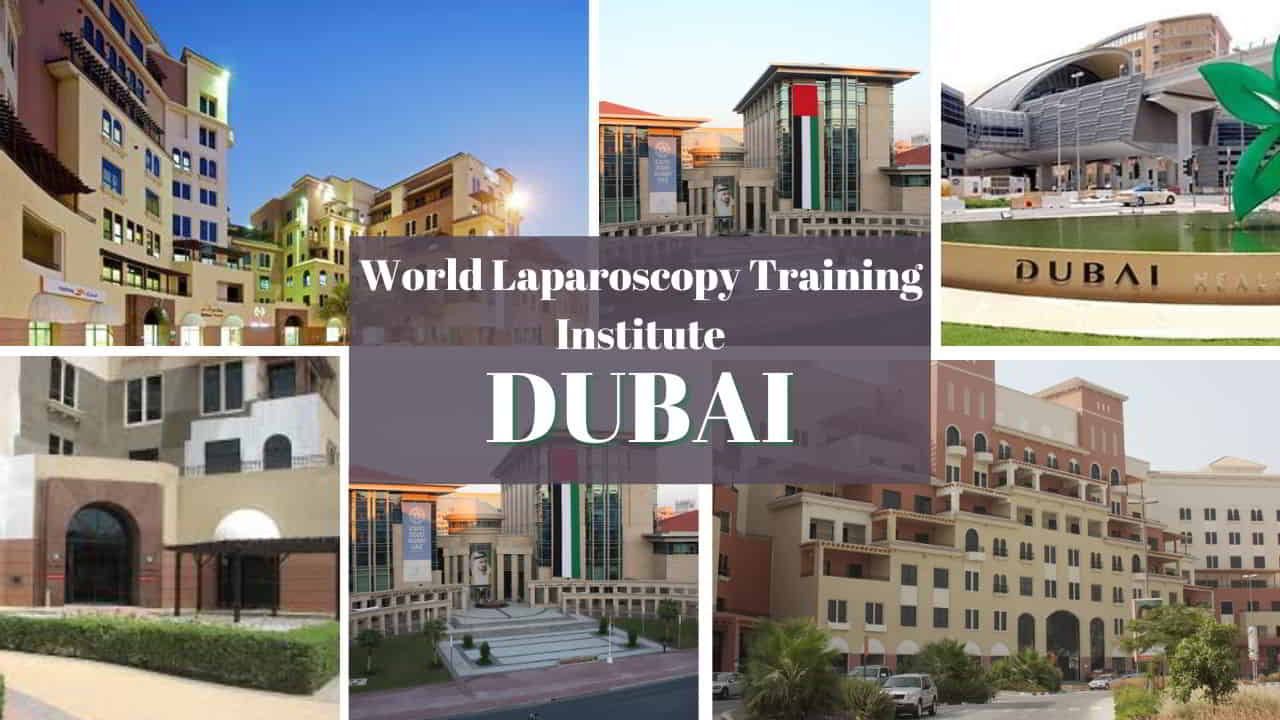 World Laparoscopy Training Institute Dubai