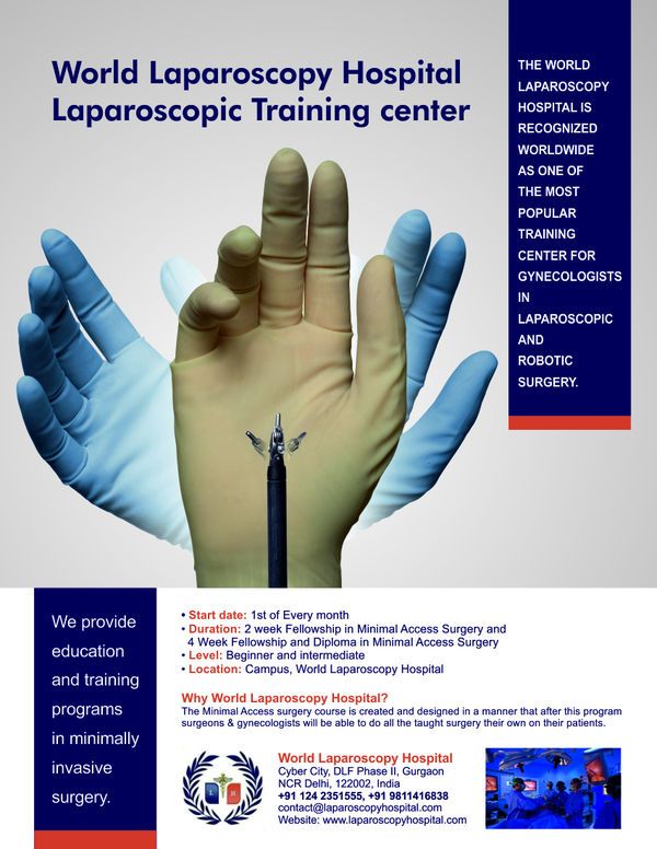 World Laparoscopy Hospital Training Institute