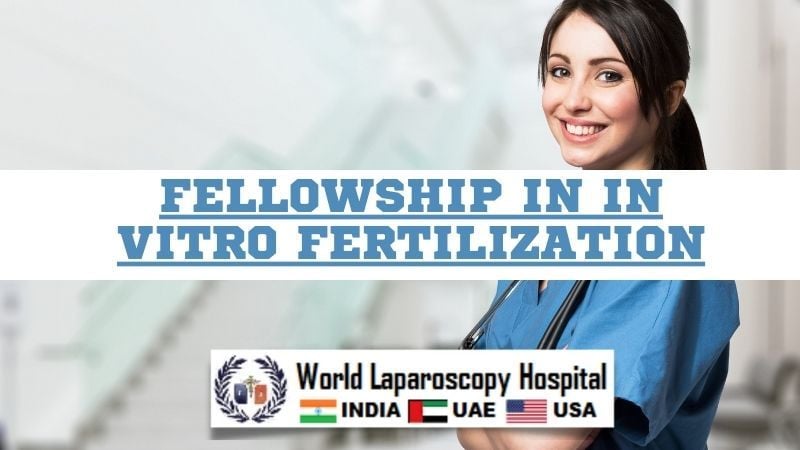 Fellowship in IVF