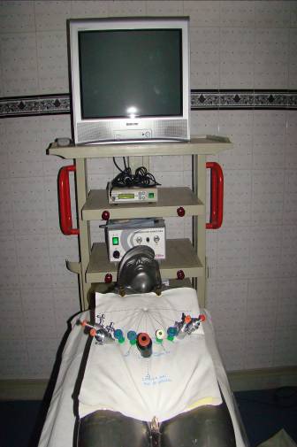 Endotrainer Setting