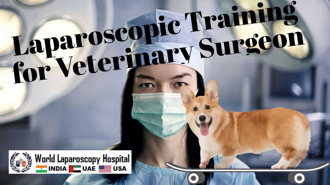 Laparoscopic Training for Veterinary Surgeon