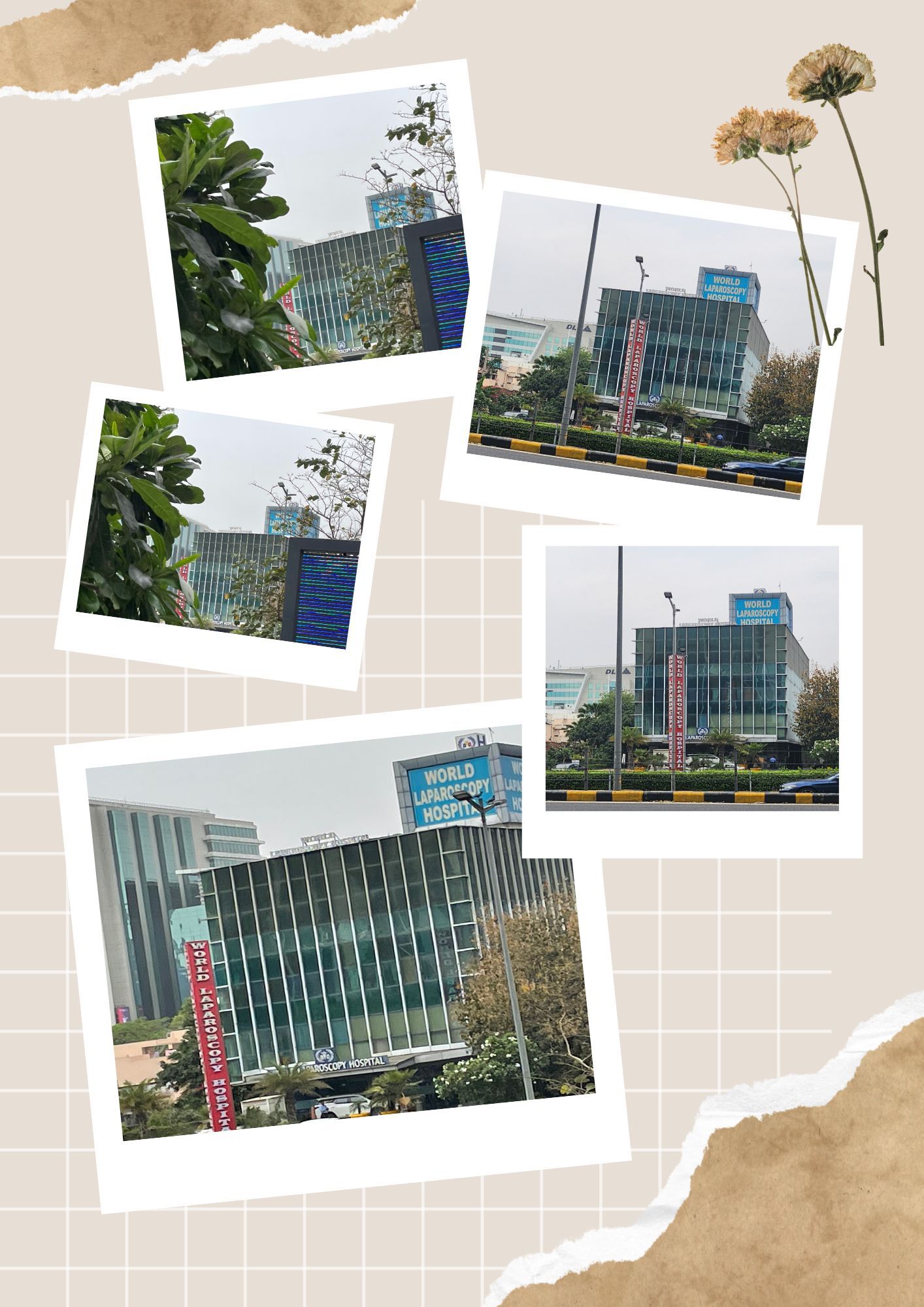 World Laparoscopy Hospital