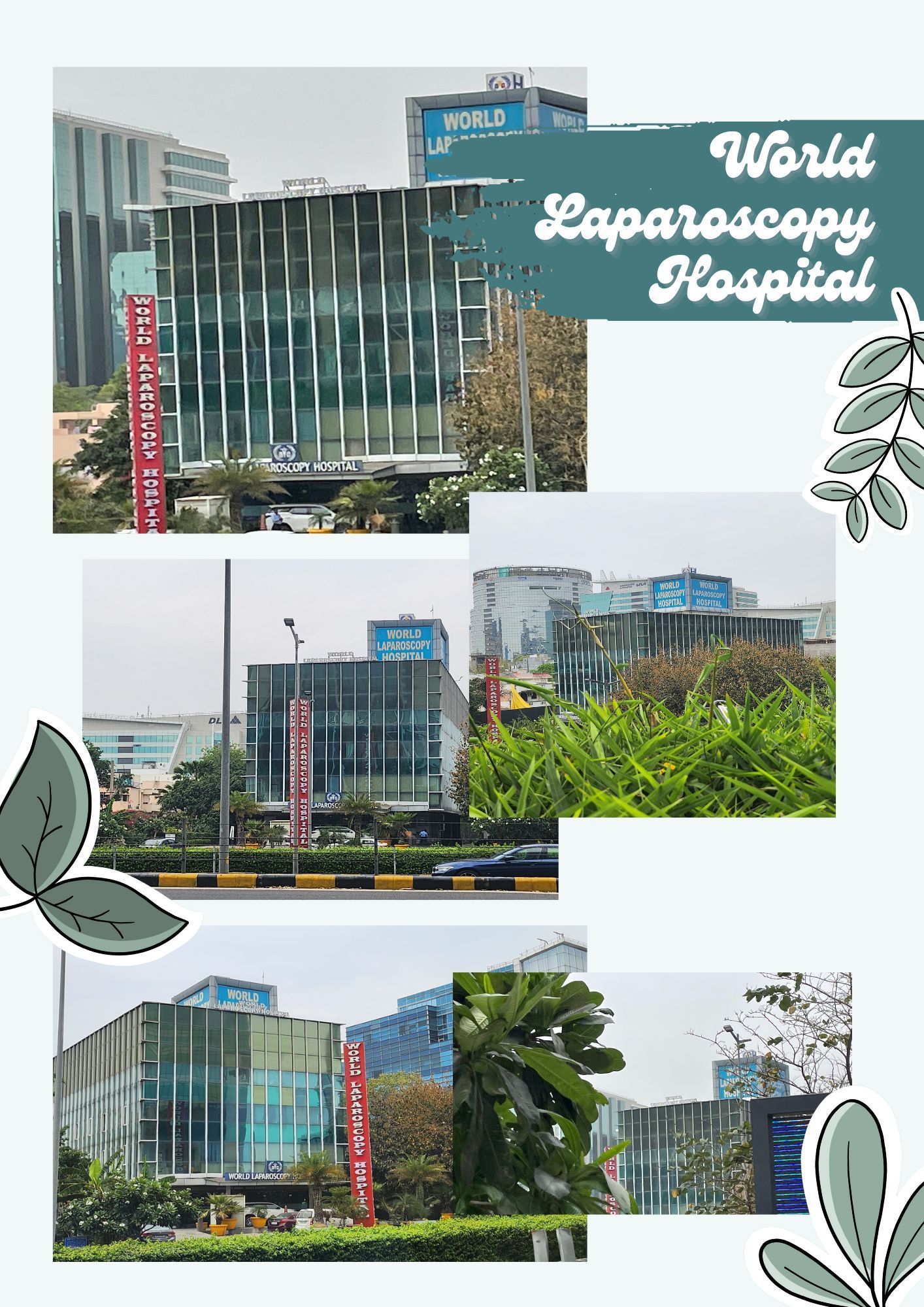 World Laparoscopy Hospital