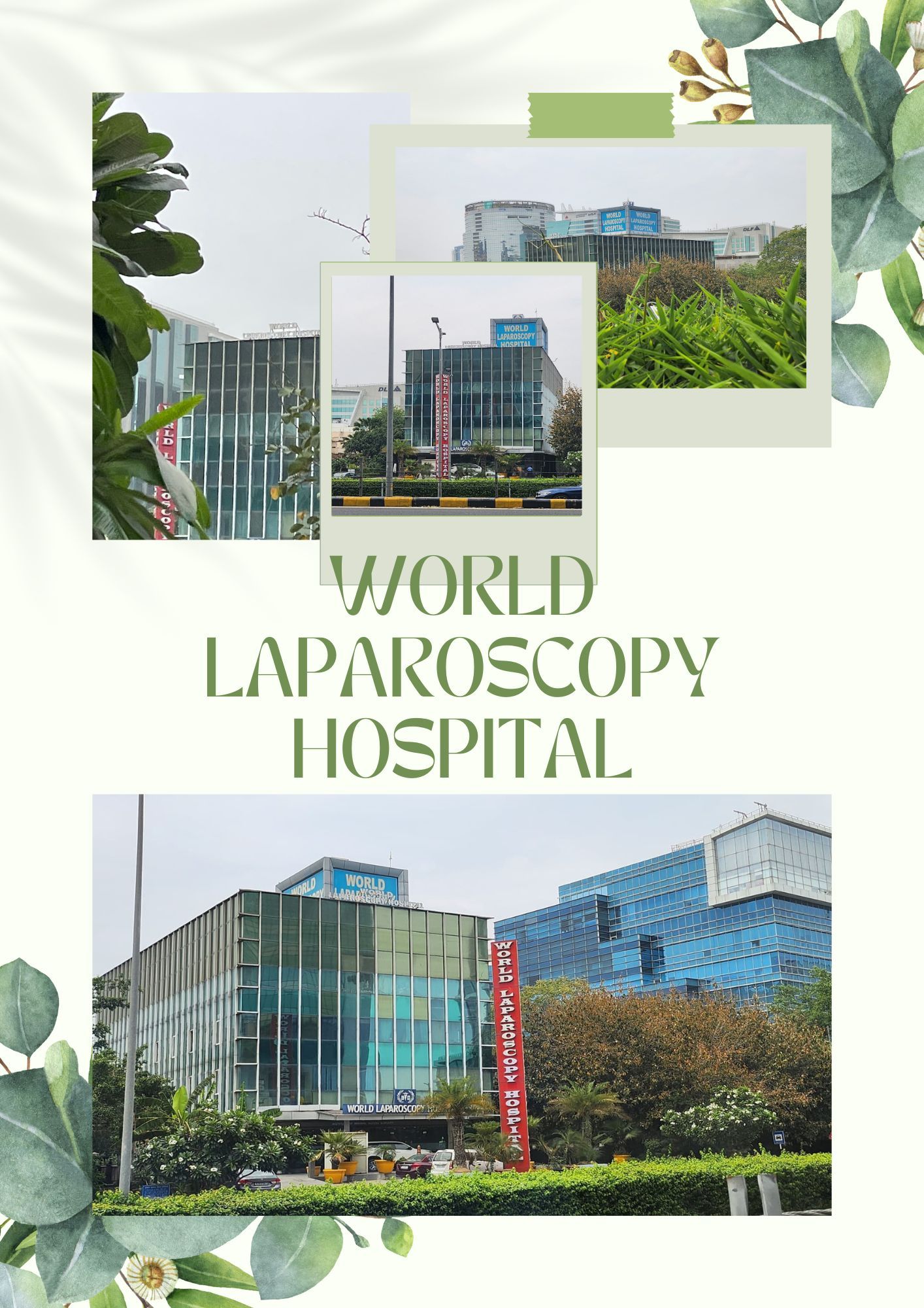 World Laparoscopy Hospital