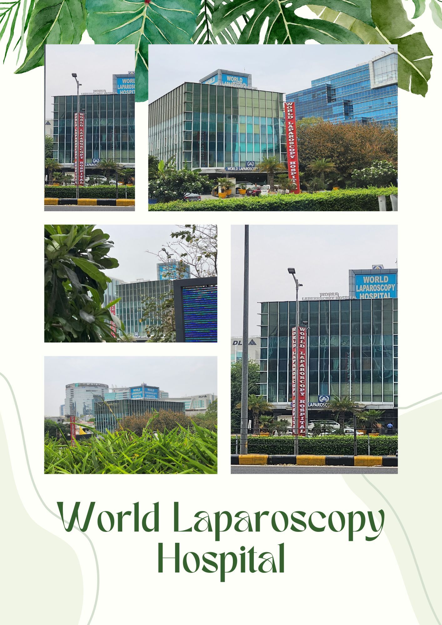 World Laparoscopy Hospital