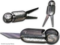 Sentido de la justicia construido en el cerebro, muestra un estudio de imágenes