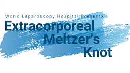 Extra Corporeal Meltzer's Knot