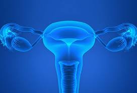 Laparoscopic Tubal Patency Test Hysteroscopy and Ovarian Drilling