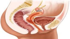 Laparoscopy Mastery: Filling the Gaps in My General Surgery Knowledge Through Training