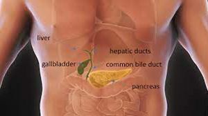 The Way Laparoscopic Cholecystectomy Should Must Not be Performed.