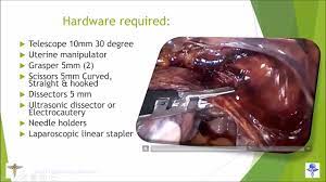 How to do Safe Total Laparoscopic Hysterectomy - Lecture by Dr R K Mishra