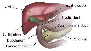 Lap Chole for Gall Stone