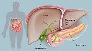 Laparoscopic Gallbladder Stone Surgery