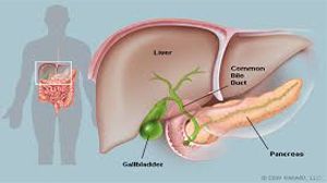 Empyema Gallbladder