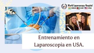 Laparoscopic Training for Veterinary Surgeon