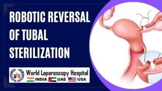 Advancing Surgical Techniques: Exploring Retroperitoneoscopic Nephrectomy and Ureterolithotomy