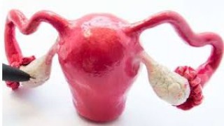 World Laparoscopy Hospital
