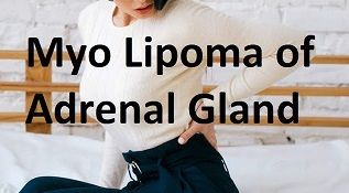 Laparoscopic Resection Myolipoma of Adrenal Gland