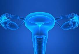 Laparoscopic Tubal Patency Test Hysteroscopy and Ovarian Drilling