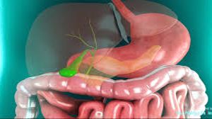 Laparoscopic Cholecystectomy High definition Video by Dr. R.K. Mishra