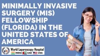 Advance Your Career in MIS: Join the Fellowship Program in Florida, USA