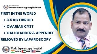 Laparoscopic Removal of a 3.5 Kg Fibroid, Ovarian Cyst, Gallbladder & Appendix—A World's First