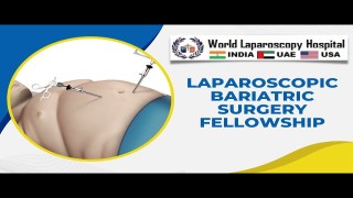 Advanced Training in Laparoscopic Bariatric Surgery: Fellowship Program at WLH