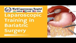 Dr. R.K. Mishra's Specialized Fellowship in Laparoscopic Bariatric Surgery Techniques
