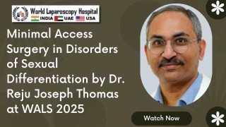 Clipless Laparoscopic Cholecystectomy