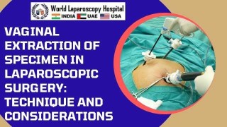 Vaginal Specimen Extraction in Laparoscopic Surgery: Techniques and Key Considerations
