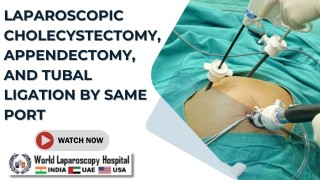 Single-Port Laparoscopic Cholecystectomy, Appendectomy, and Tubal Ligation