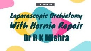 Laparoscopic orchiectomy combined with hernia repair