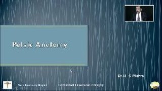 Laparoscopic Anatomy of Pelvis by Dr R K Mishra