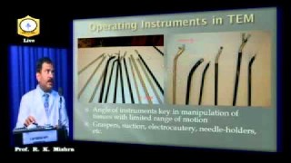 Transanal Endoscopic Microsurgery