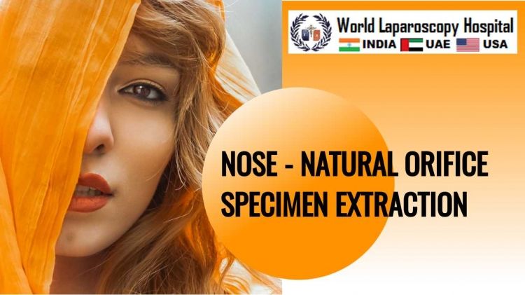 NOSE - Natural Orifice Specimen Extraction 