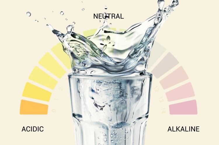 Is Alkaline Water a Scam or Worth?