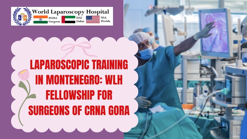 Laparoscopic Training in Montenegro: WLH Fellowship for Surgeons of Crna Gora
